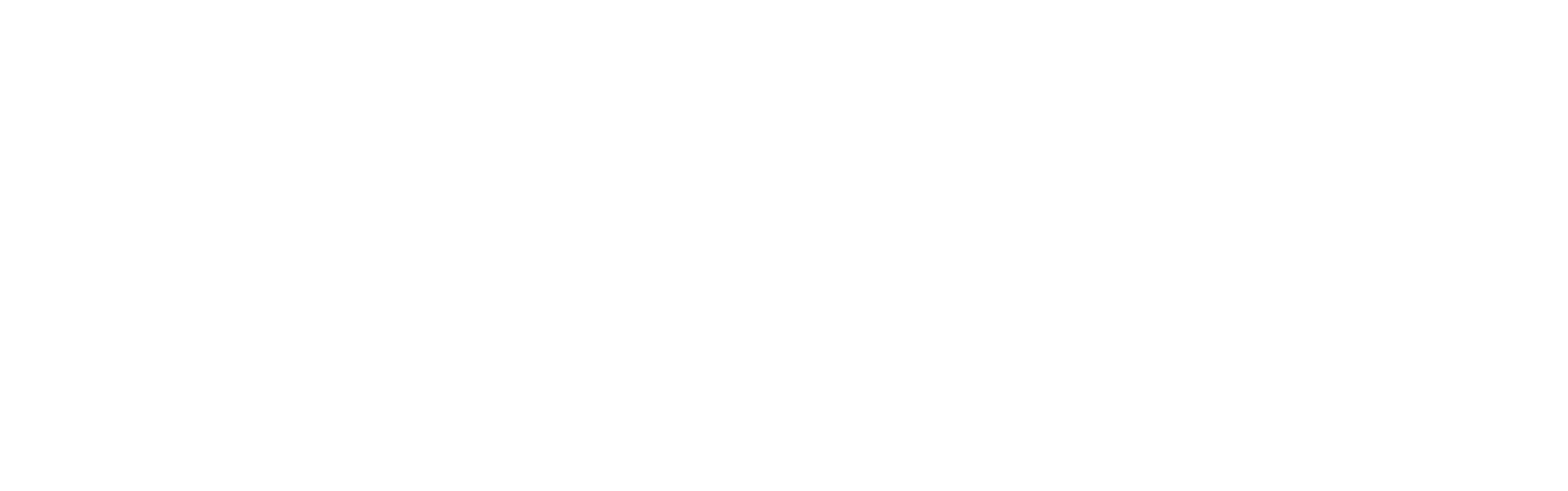 Fleeson Logo